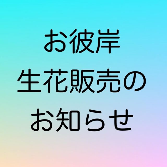 お彼岸期間中の生花販売のお知らせです！
9/21(土)〜23(月)までの3日間管理事務所内にて販売予定となっております。
１束300円です。皆様ぜひご利用ください💐

#佐賀さくら墓苑
#お彼岸
#永代供養
#霊園
#佐賀大和インター