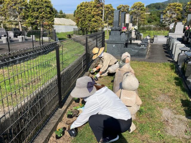 こんにちは♪
先日苑内のお花を冬用の花ビオラに植え替えました😆
今年は暑さが長引いたので日々草も長く楽しむことが出来ました🌼
苑内が明るくなるように春に向けてチューリップも植えていきます😆🌷
ご来苑の際に見てみてくださいね〜😊

#佐賀さくら墓苑
#佐賀の霊園
#霊園
#永代供養
#佐賀大和インター